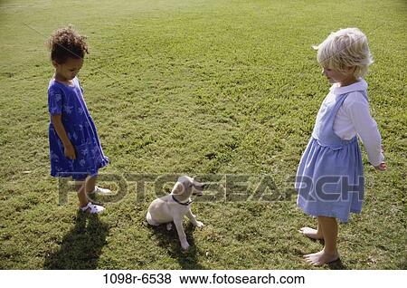 multiethnic, people, dog, puppy, pet, outdoors View Large Photo Image Stock Photo - multiethnic, people, dog, puppy, pet, outdoors. Fotosearch