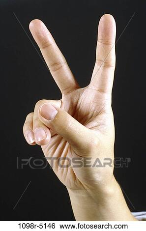 peace, hand, two, body parts, fingers, sign language View Large Photo Image Stock Photograph - peace, hand, two, body parts, fingers, sign language. Fotosearch
