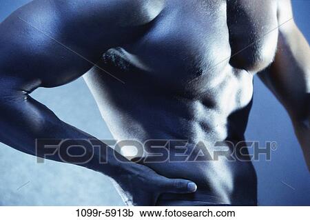 people, arm, stomach, indoors, chest, weight training View Large Photo Image Stock Image - people, arm, stomach, indoors, chest, weight training. Fotosearch