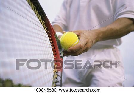 people, ball, tennis racket, holding, tennis View Large Photo Image Stock Image - people, ball, tennis racket, holding, tennis. Fotosearch