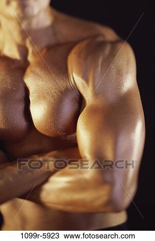 Stock Image - people, Hispanic, arms, crossed, commitment, pinup. Fotosearch