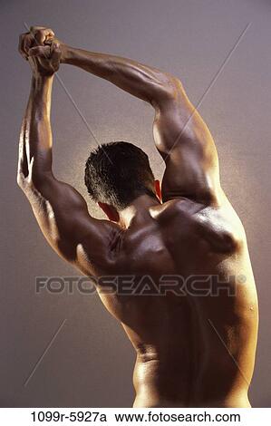 people, Hispanic, strength, commitment, pinup, brunette View Large Photo Image Stock Image - people, Hispanic, strength, commitment, pinup, brunette. Fotosearch