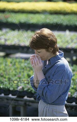 people, plants, woman, cold, outdoors, illness, congestion View Large Photo Image Picture - people, plants, woman, cold, outdoors, illness, congestion. Fotosearch