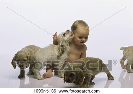 people, playing, puppies, baby, pets, friends, blond View Large Photo Image Stock Photograph - people, playing, puppies, baby, pets, friends, blond. Fotosearch