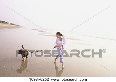people, reflection, water, woman, walking, dog View Large Photo Image Stock Image - people, reflection, water, woman, walking, dog. Fotosearch