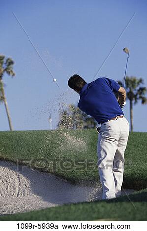 sand, playing, golf, palm trees, trees, outdoors View Large Photo Image Stock Image - sand, playing, golf, palm trees, trees, outdoors. Fotosearch