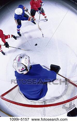 sports, accuracy, goals, competition, team, winter sports, hockey View Large Photo Image Stock Photo - sports, accuracy, goals, competition, team, winter sports, hockey. Fotosearch