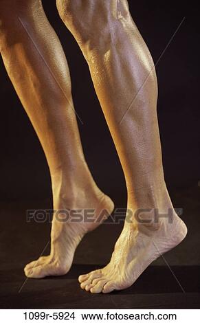 Picture - strength, body parts, legs, feet, muscular, muscles, calves. Fotosearch