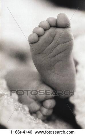 baby, body parts, feet, infant, Body parts feet View Large Photo Image Stock Image - baby, body parts, feet, infant, Body parts feet. Fotosearch