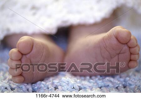 baby, body parts, feet, infant, Caucasian, Body parts feet View Large Photo Image Picture - baby, body parts, feet, infant, Caucasian, Body parts feet. Fotosearch