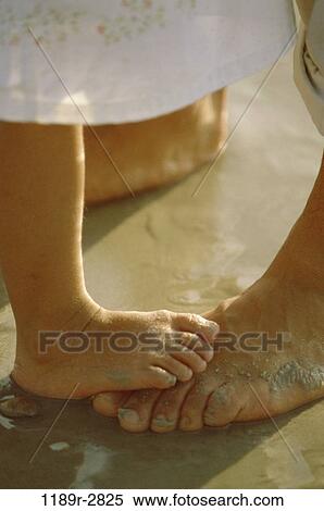 beach, body parts, unity, family, feet, support, sandy View Large Photo Image Stock Photography - beach, body parts, unity, family, feet, support, sandy. Fotosearch