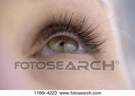 eye, woman, body parts, looking, eyelashes, Caucasian, look View Large Photo Image Stock Image - eye, woman, body parts, looking, eyelashes, Caucasian, look. Fotosearch