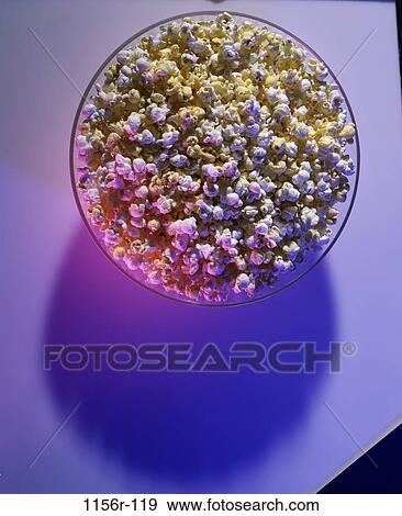 light, popcorn, bowl, snack, food, still life, airy View Large Photo Image Stock Photo - light, popcorn, bowl, snack, food, still life, airy. Fotosearch