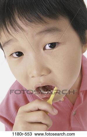 people, Asian, teeth, brushing, boy, brush, brunette View Large Photo Image Stock Image - people, Asian, teeth, brushing, boy, brush, brunette. Fotosearch