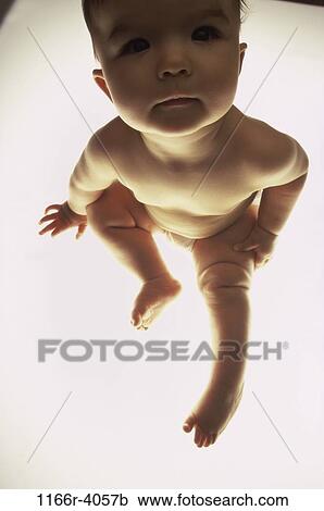 people, baby, curious, indoors, Caucasian, Babies various View Large Photo Image Stock Image - people, baby, curious, indoors, Caucasian, Babies various. Fotosearch