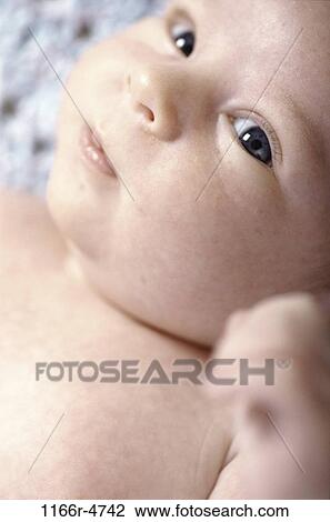 people, baby, indoors, Caucasian, Baby headshots View Large Photo Image Stock Image - people, baby, indoors, Caucasian, Baby headshots. Fotosearch