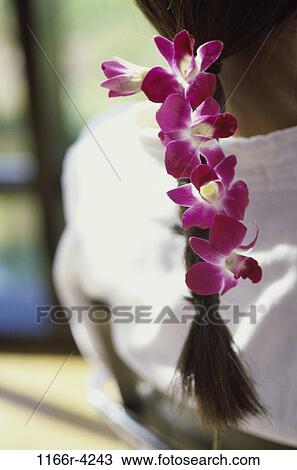 people, woman, hair, brunette, indoors, orchids, Young women various View Large Photo Image Stock Image - people, woman, hair, brunette, indoors, orchids, Young women various. Fotosearch