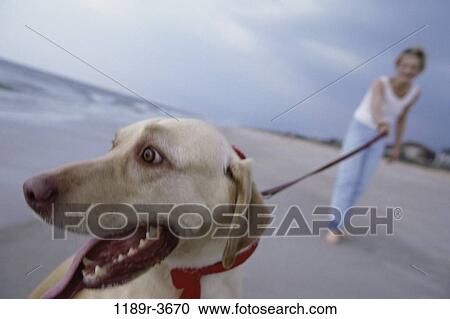 Stock Image - people, woman, walking, dog, pet, beach, blond. Fotosearch