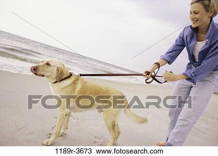 people, woman, walking, dog, pet, beach, blond View Large Photo Image Stock Image - people, woman, walking, dog, pet, beach, blond. Fotosearch