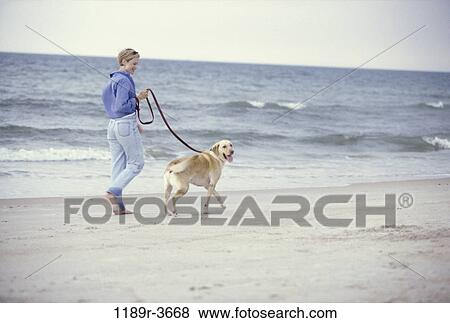 people, woman, walking, dog, pet, beach, blond View Large Photo Image Stock Photo - people, woman, walking, dog, pet, beach, blond. Fotosearch