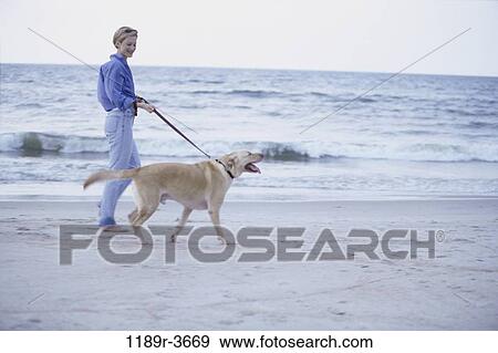Stock Photo - people, woman, walking, dog, pet, beach, blond. Fotosearch