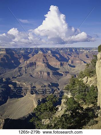 South Rim, Grand Canyon National Park, Arizona, USA View Large Photo Image Stock Image - South Rim, Grand Canyon National Park, Arizona, USA. Fotosearch