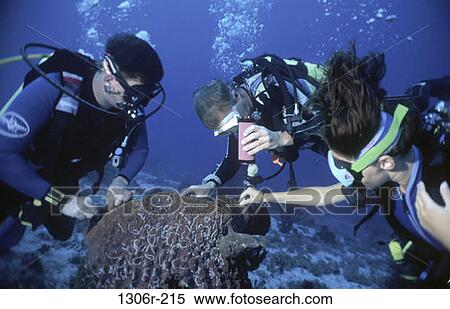 Bohol, Philippines View Large Photo Image Stock Photography - Bohol, Philippines. Fotosearch