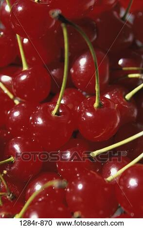 Cherries View Large Photo Image Stock Image - Cherries. Fotosearch