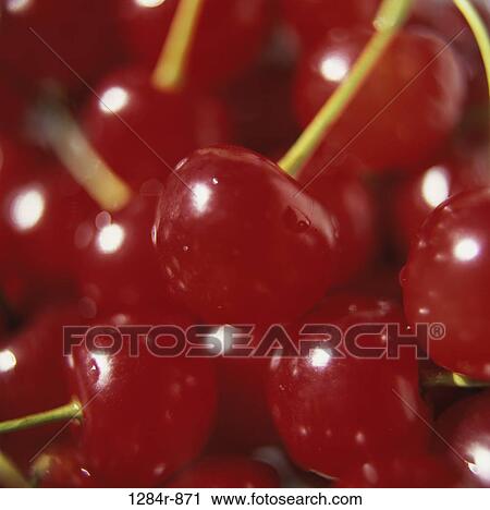 Cherries View Large Photo Image Stock Image - Cherries. Fotosearch