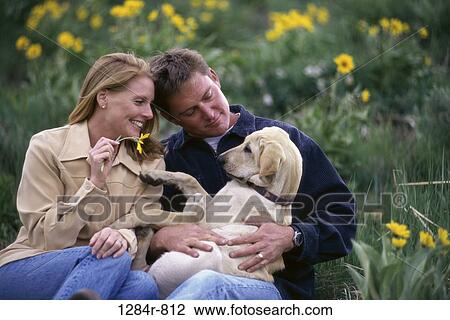 dog, Labrador, couple, pet, holding, flowers View Large Photo Image Stock Image - dog, Labrador, couple, pet, holding, flowers. Fotosearch