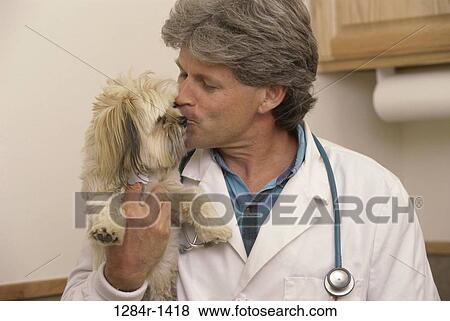 dog, pet, stethoscope, health, Middle-aged View Large Photo Image Stock Photo - dog, pet, stethoscope, health, Middle-aged. Fotosearch