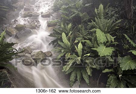 Eden Project, Cornwall, England View Large Photo Image Stock Image - Eden Project, Cornwall, England. Fotosearch