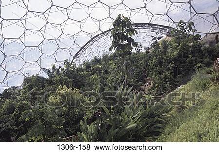 Eden Project, Cornwall, England View Large Photo Image Stock Photo - Eden Project, Cornwall, England. Fotosearch