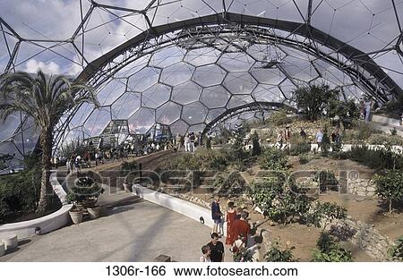 Eden Project, Cornwall, England View Large Photo Image Stock Photograph - Eden Project, Cornwall, England. Fotosearch