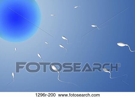 egg, health, diagram, illustration, medical View Large Photo Image Stock Image - egg, health, diagram, illustration, medical. Fotosearch