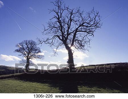 England View Large Photo Image Stock Photograph - England. Fotosearch