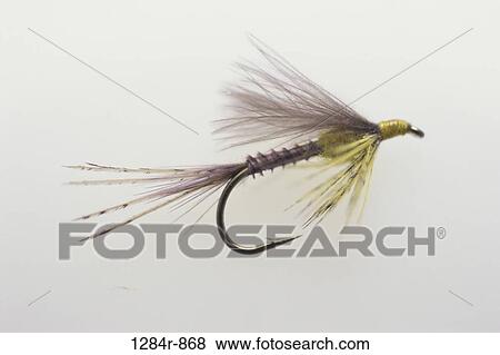 Stock Photo - equipment, sports, fishing, sports equipment, still life, hook. Fotosearch