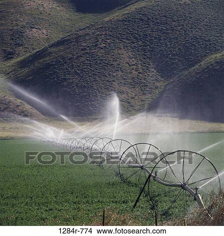 Picture - farm, farming, crop, hills, agriculture. Fotosearch
