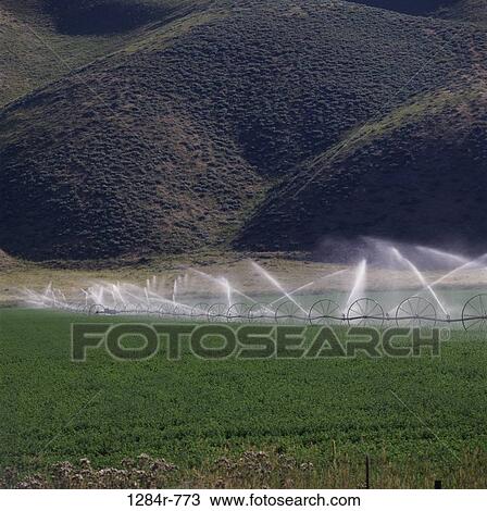 Stock Image - farm, farming, crop, water, hills, agriculture. Fotosearch