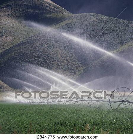farm, farming, crop, water, hills, agriculture View Large Photo Image Stock Photography - farm, farming, crop, water, hills, agriculture. Fotosearch