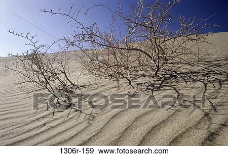 Gansu Province, China View Large Photo Image Stock Photo - Gansu Province, China. Fotosearch
