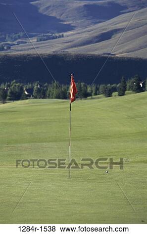 golf, ball, sports, golf course, golfing, flag, pole View Large Photo Image Stock Photo - golf, ball, sports, golf course, golfing, flag, pole. Fotosearch