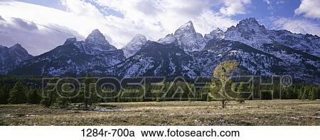 Stock Image - Grand Teton National Park, Wyoming, USA. Fotosearch