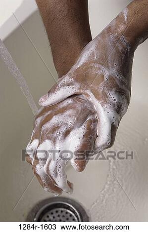 hands, water, soap, body parts, foam, lather, washing View Large Photo Image Stock Image - hands, water, soap, body parts, foam, lather, washing. Fotosearch