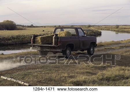 hay, transportation, truck, dirt road, hauling, haul View Large Photo Image Stock Image - hay, transportation, truck, dirt road, hauling, haul. Fotosearch