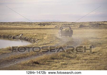 hay, transportation, truck, dirt road, hauling, haul View Large Photo Image Stock Image - hay, transportation, truck, dirt road, hauling, haul. Fotosearch