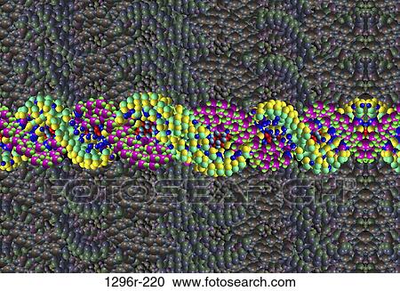 health, vision, medical, spiral, colorblind View Large Photo Image Stock Image - health, vision, medical, spiral, colorblind. Fotosearch