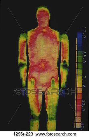 heat, health, temperature, warm, body View Large Photo Image Stock Image - heat, health, temperature, warm, body. Fotosearch