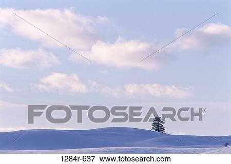 Stock Photo - Idaho, USA. Fotosearch
