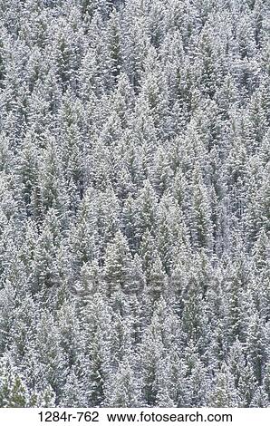 Ketchum, Idaho, USA View Large Photo Image Stock Image - Ketchum, Idaho, USA. Fotosearch